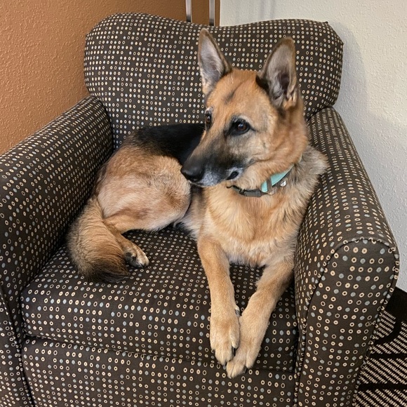 Meet your Posher, Michael - Picture 1 of 1